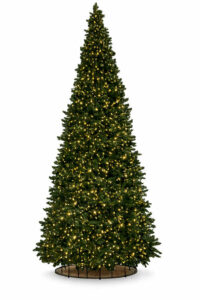 sapin-vert-conique-300cm-outdoor-1
