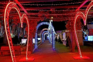 arche-en-forme-de-coeur-lumineuse-7