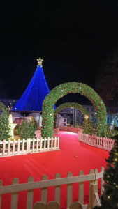 arche-sapin-5