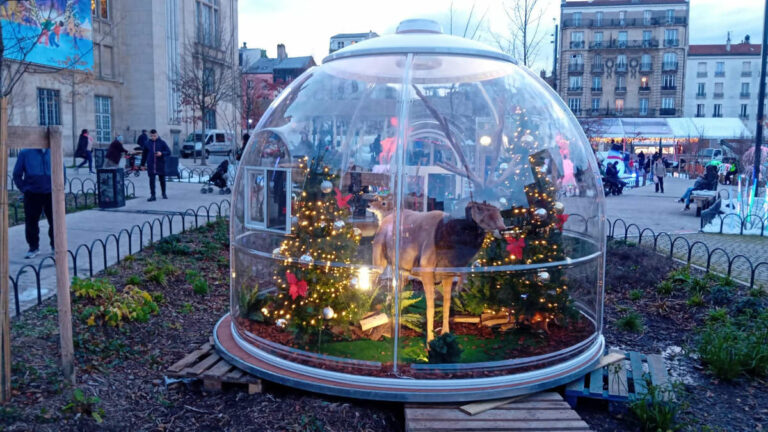 Showcase Bubble with hard plexiglass shell – 3.5 m diameter with Wooden Floor
