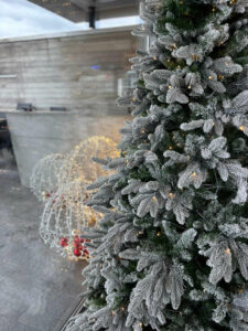 sapin-vert-indoor-2