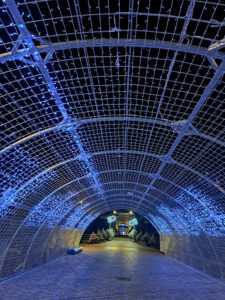 tunnel-lumineux-led-2
