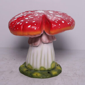 champignon